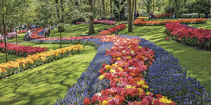 AMSTERDAM, DUTCH BULBFIELDS AND HERITAGE BOAT & STEAM TRAIN EXPERIENCE
