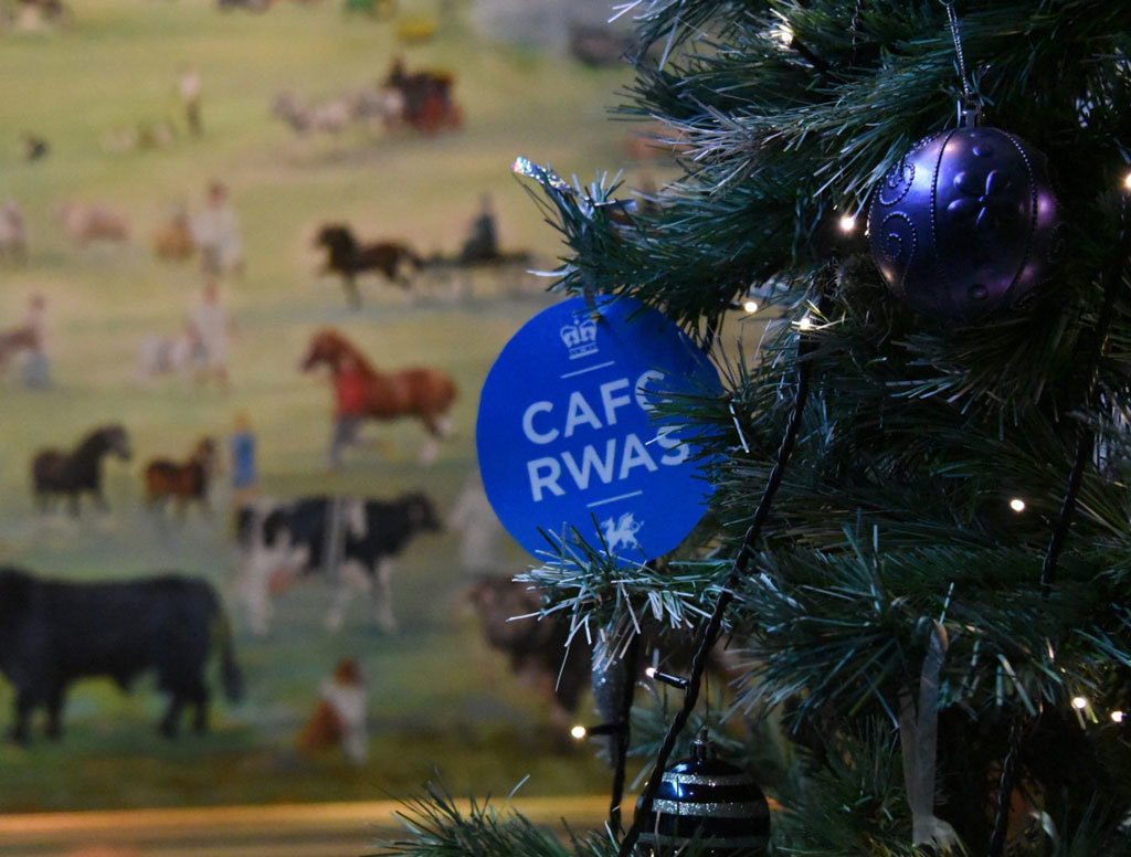ROYAL WELSH WINTER FAIR, BUILTH WELLS - DAY TRIP