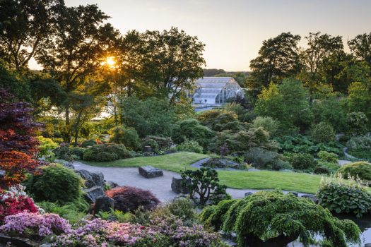 LONDON’S GREATEST GARDENS